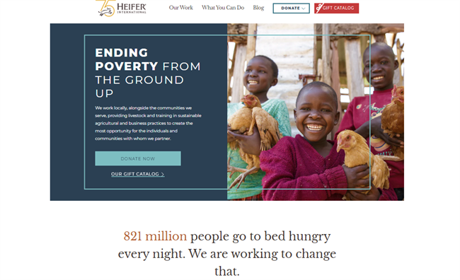 Heifer International best nonprofit website